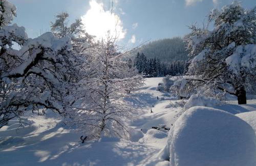 Ferienhof Am Holderbusch - Foto 22