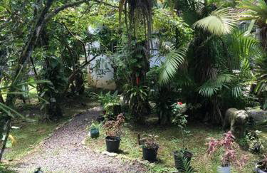 Chácara na Mata Atlântica - Photo 20