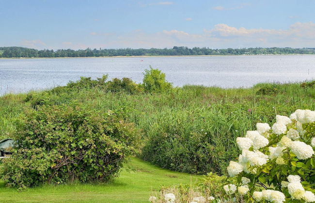 6 Person Holiday Home in Jaegerspris - Foto 32