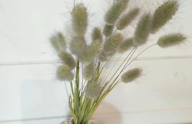 Studio Nature & Calme, Lac et Forêt à Pied - Foto 14