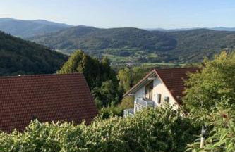 Apartment Bayerischer Wald auf 800m Höhe-Willkommen by Interhome - Foto 3