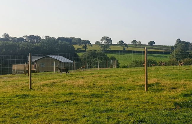 Luxury Safari Lodge Surrounded by Deer!! 'roe' - Foto 29