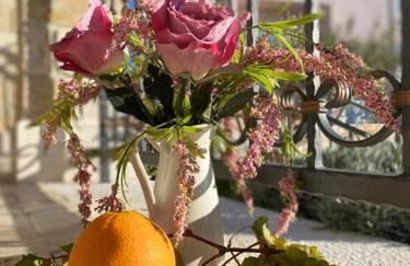 Villa Ludilo mit 4 Apartments in Poljica - Marina bei Trogir Split - Photo 24