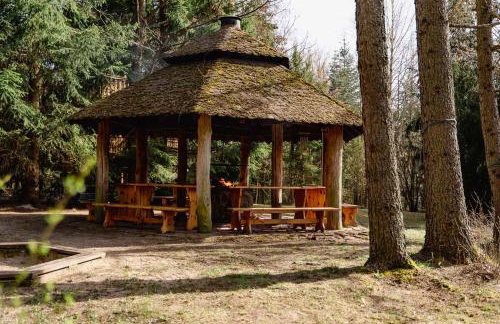 Pod Kogutem - Foto 48