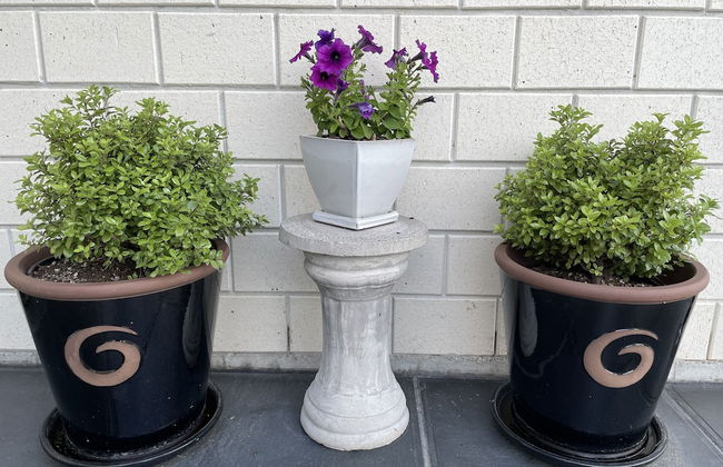 Veld View Bed & Breakfast - Photo 25