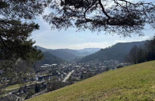 Schwarzwald Blockhaus - Sauna - Kamin - mit Bettwäsche und Handtücher - Foto 18
