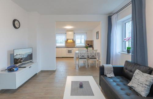 Wiesenpieper - Photo 4