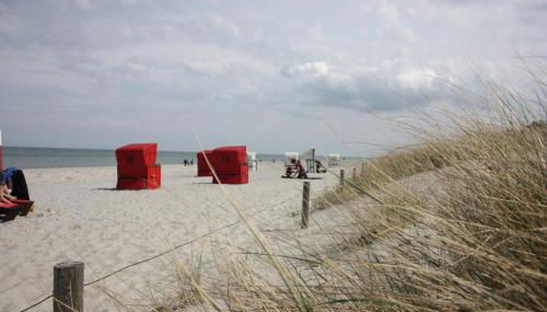 zum Sanddorn - Foto 2