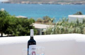 Flora & Agelos Studios - Paros - Foto 71