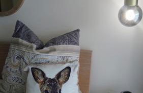 Maurers Schlierseetraum 6, Studio 455 mit 42 qm neu renoviert, Erdgeschoss mit eingezäunter Terrasse in ruhiger Lage am Kirchbichlweg 8 - Foto 11