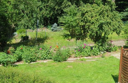 Ferienhaus in Geesthacht-Tesperhude direkt am Waldrand - Foto 3