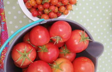 Burrico D`Orada - Rural Stays & Wine Country Tours - Foto 67