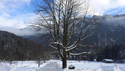 Alpaka-Hof Landinger - Foto 2