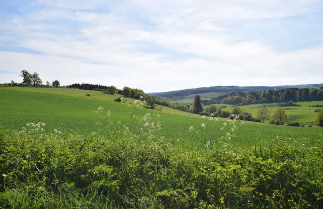 Charming Holiday Home in Sainte-ode With Terrace - Foto 20