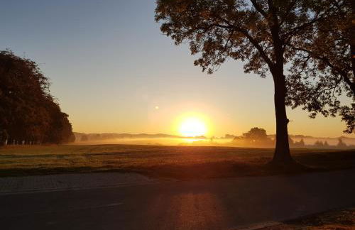 Fewo 1 im Fischerhaus mit Wintergarten und Terrasse - Foto 56