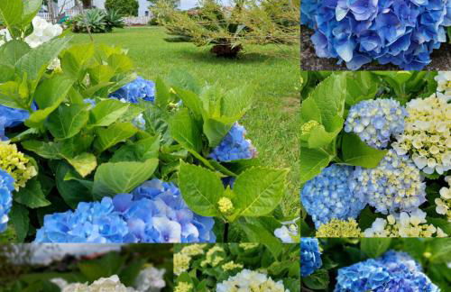 La Finca de Ananás - House - Photo 24