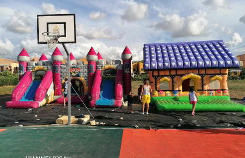 Stella marina - Foto 26