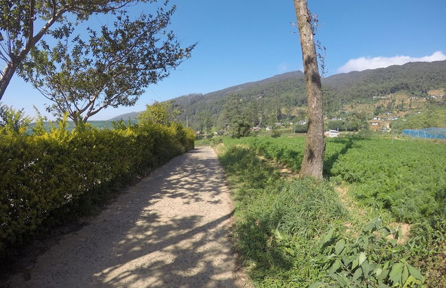 Shannon Rise Holiday Home - Foto 18