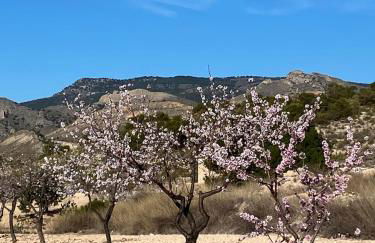 Maison typique avec vue dégagée sur la vallée - Photo 47