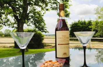 Domaine du Galon d'Or - Photo 8