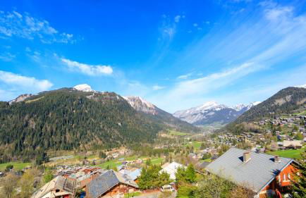 Les Flambeaux - Apt B22 - BO Immobilier -Châtel - remises sur les forfaits de skis Châtel ou Portes du soleil - Foto 13