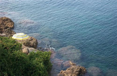 Villa Feia - Photo 21