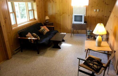 Bavarian-Style Chalet Rental with Adirondack Mountain Views in Indian Lake, New York - Foto 10