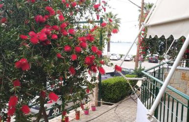 Lerna Rooms - Photo 15