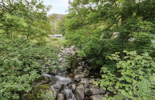 Scale Force - Foto 35