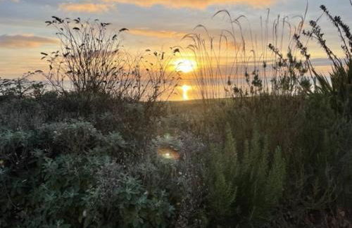 No 1 The Links Apartment Brora - Foto 36