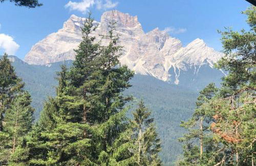 Chalet nel bosco - Photo 26