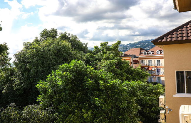 Rochester Modern Chic Apartment - Photo 43