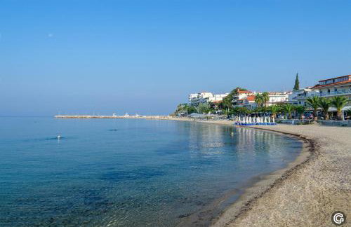 Paradise Place - Foto 9