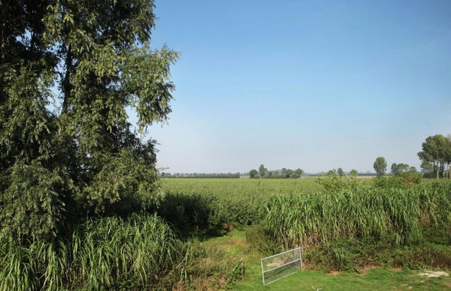 Pet-friendly Farmhouse - Foto 37