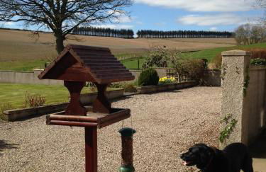 Eastwood Cottage - Photo 2