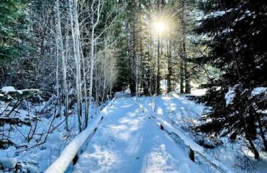 Black Butte Ranch Modern A-Frame Retreat, sleeps 8 - Foto 8