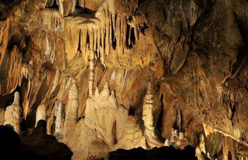 Ferienhaus Nr 32, Typ A, Ferienanlage Blauvogel, Hasselfelde, Harz - Foto 22