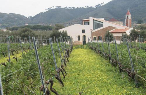 Tenuta Rasocolmo - Foto 11