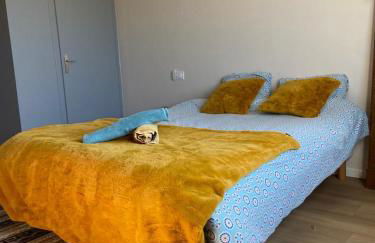 Jolie villa face aux dunes et mer - Foto 16