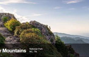 The Owl's Perch - Foto 36