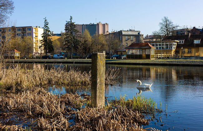 Rio 2 Ekskluzywny Apartament Blisko Opery - Foto 17