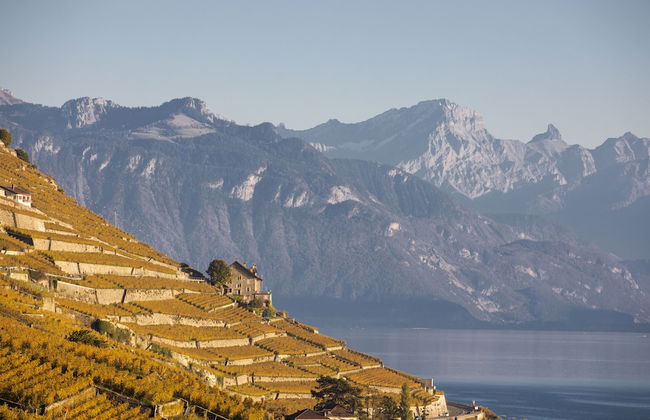 domaine du deven - Foto 55