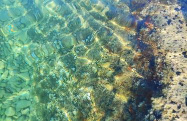 Villa Rosemary - Foto 33