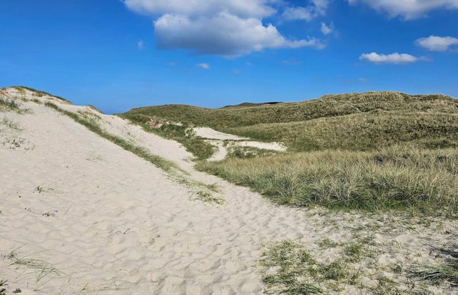 8 Person Holiday Home in Ulfborg - Foto 13