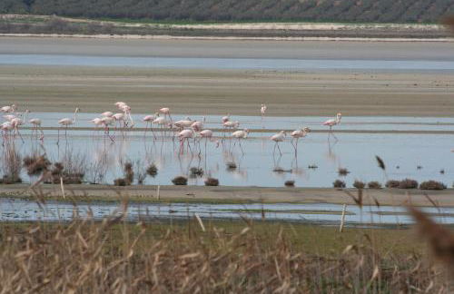 Cortijo Los Alazores, authentic cortijo with private pool - Foto 27