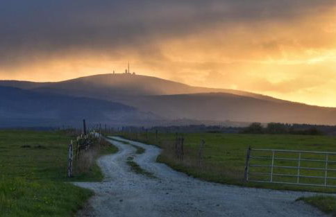 Ferienhaus Waldliebe - Foto 2