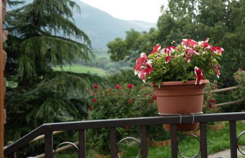 Casa Rural Cal Bosch - Foto 8