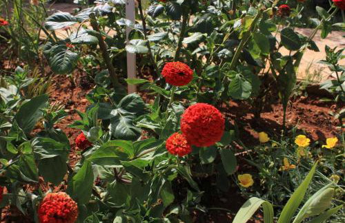 Apartments by the sea Sutomiscica, Ugljan - 912 - Photo 11