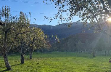 Kuća za odmor DIKKA Brušane Lika - Photo 46