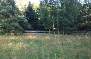 Siedlisko Nasza Chata - Foto 34